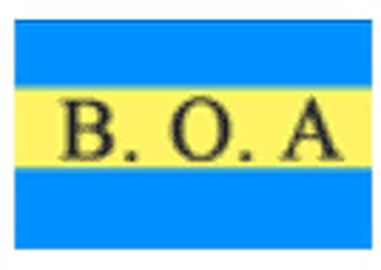 Blue Ocean Agency logo